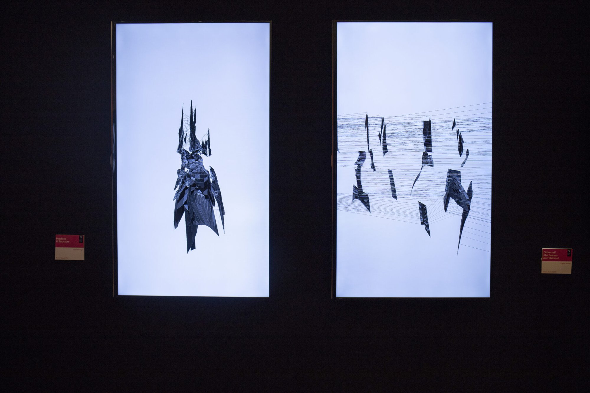 14th ADAF Festival, 2018 - ph. by Léa Abaz